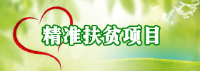 精准扶贫
